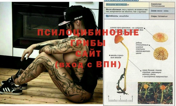 эйфоретик Коряжма