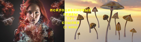 мяу мяу мука Абдулино