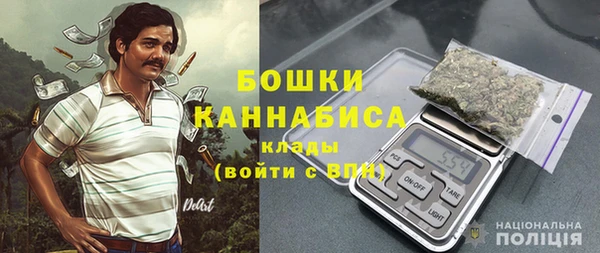 гашик Дмитриев