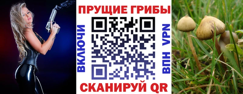 Псилоцибиновые грибы GOLDEN TEACHER  закладки  ОМГ ОМГ ТОР  Ильский 